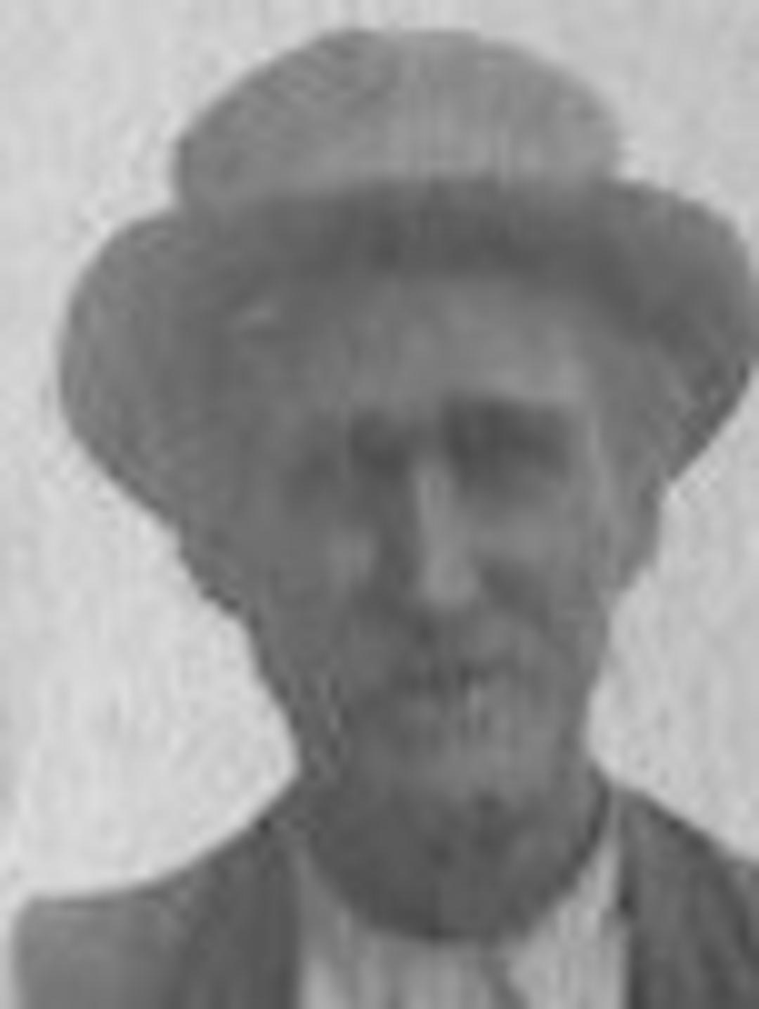 Lewis Lane Phillips (1847 - 1920) Profile